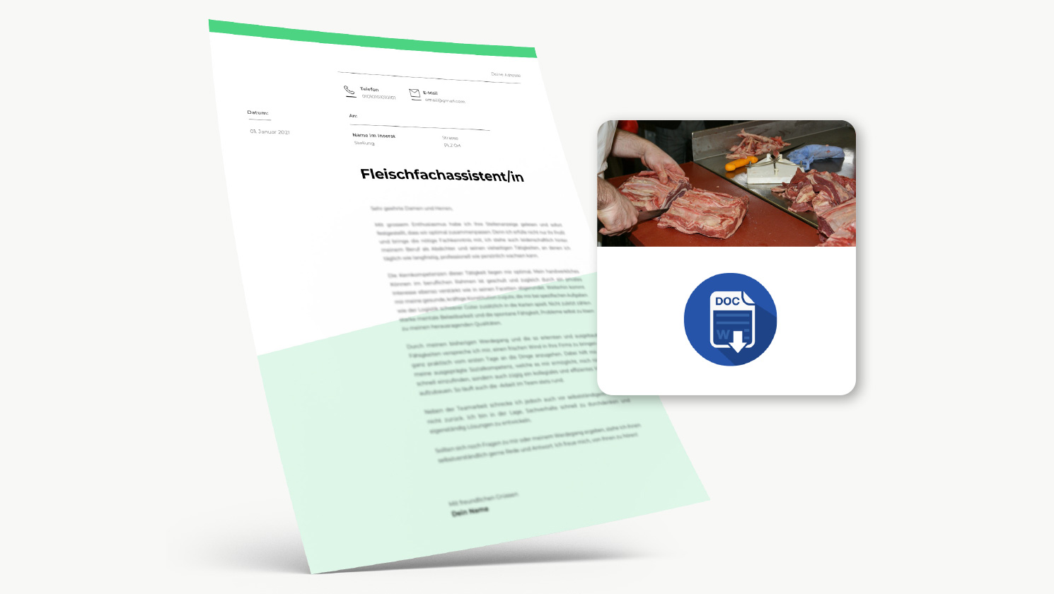 Fleischfachassistent-bewerbung-vorlage-muster-f