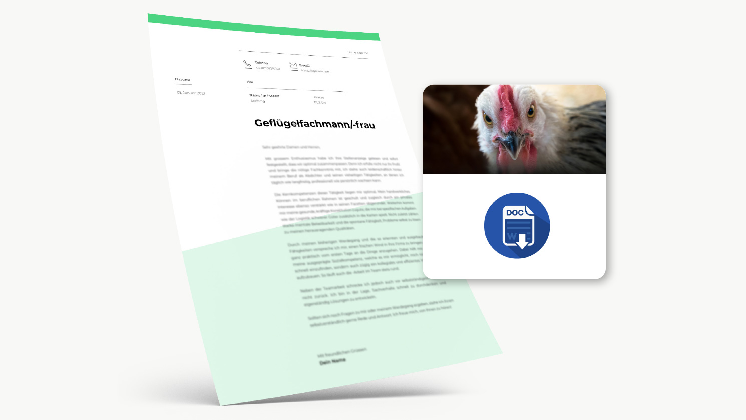 gefluegelfachmann-frau-bewerbung-vorlage-f