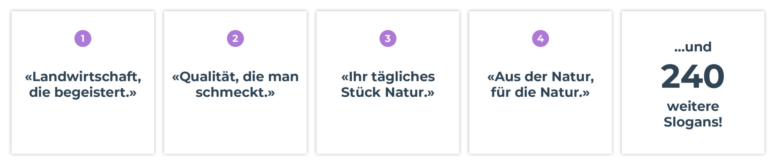 Lebenslauf-Slogan3-scaled